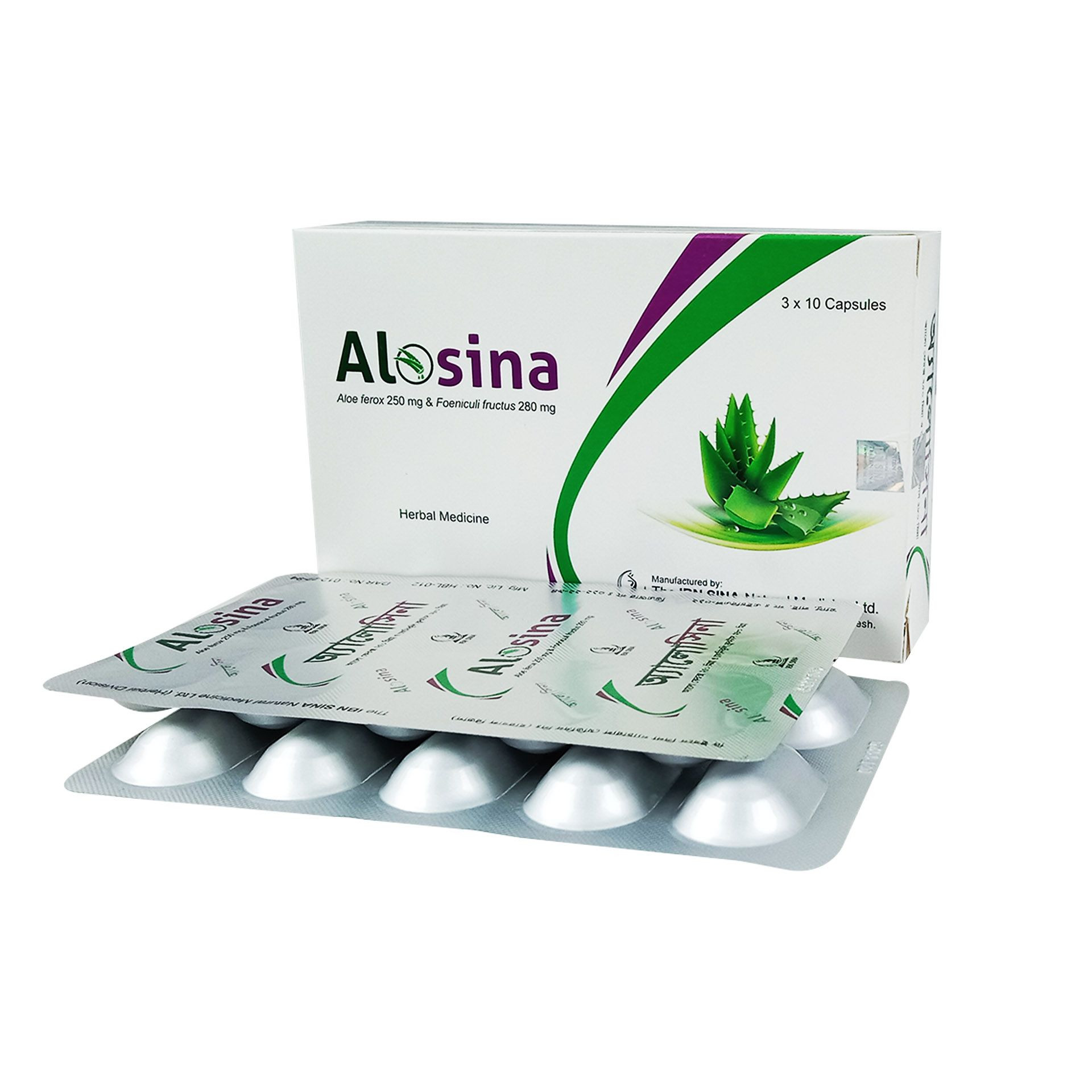 Alosina