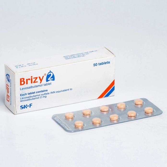 Brizy 2