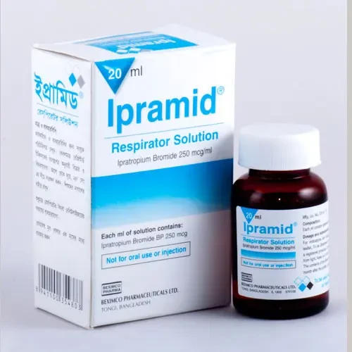 Ipramid Respirator Solution