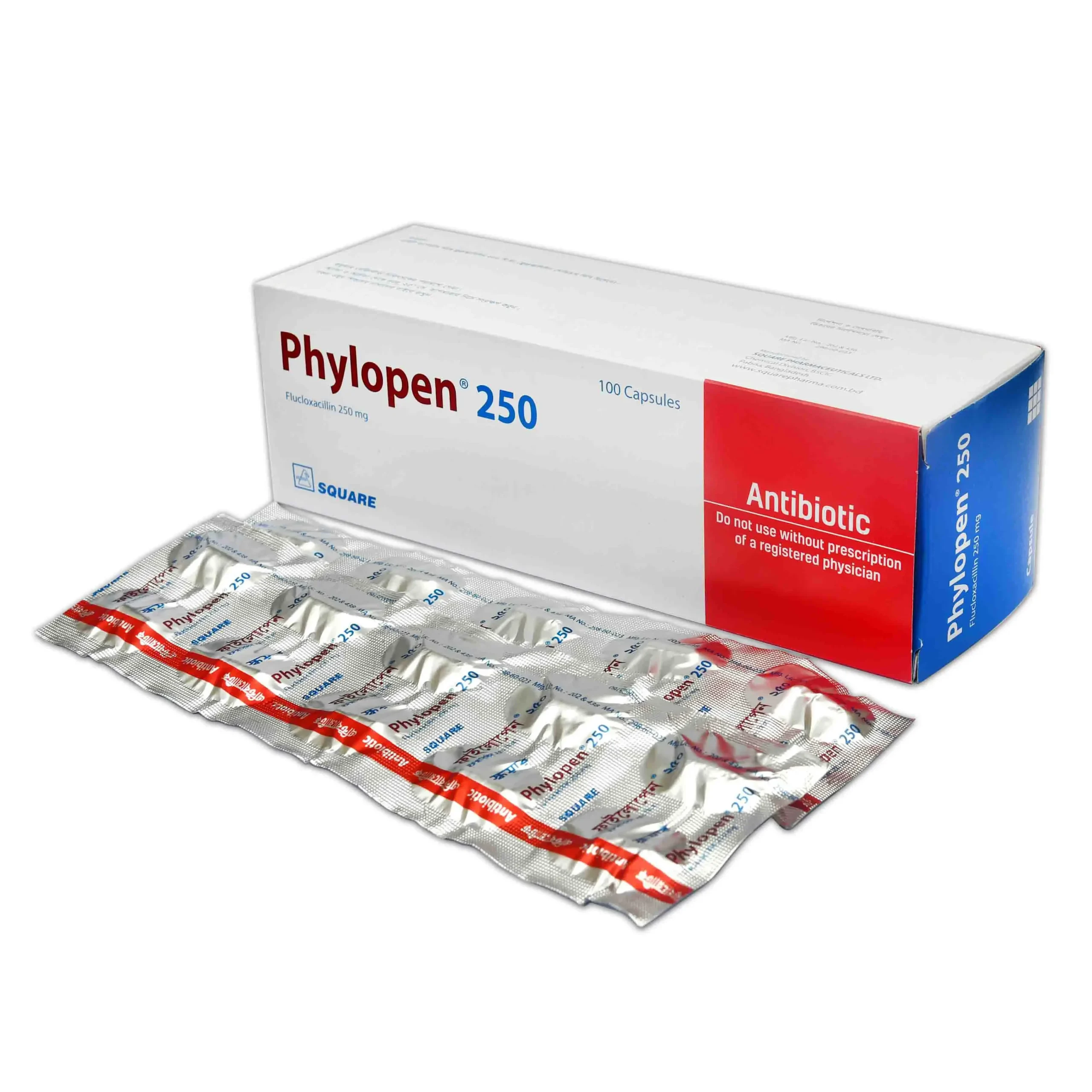 Phylopen 250
