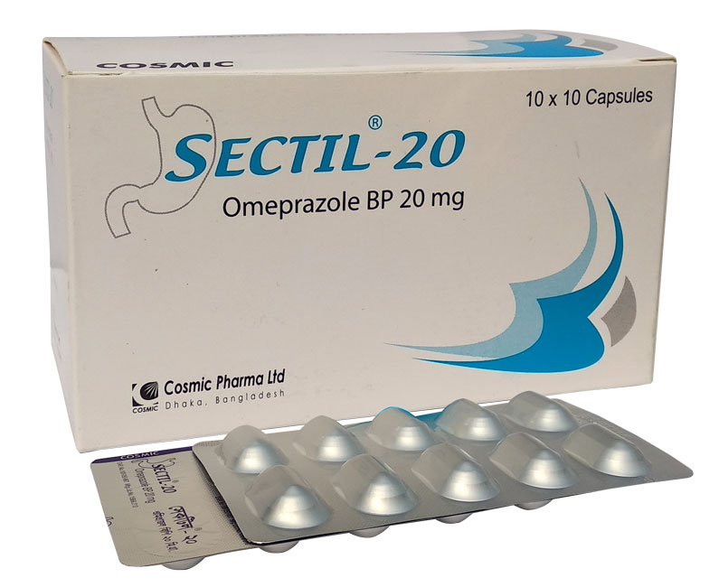 Sectil 20
