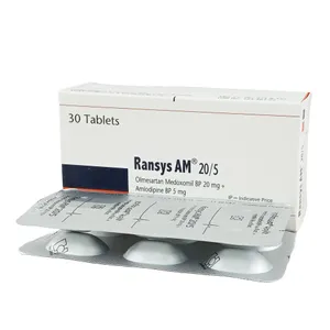 Ransys AM 20